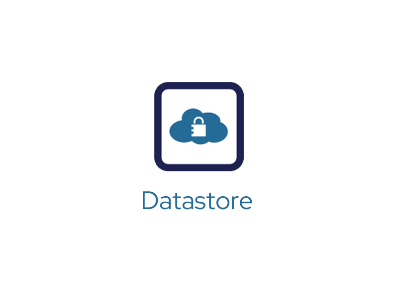 Datastore Logo